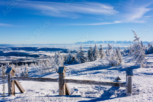 Fototapeta Naklejka Na Ścianę i Meble -  winter in the mountains