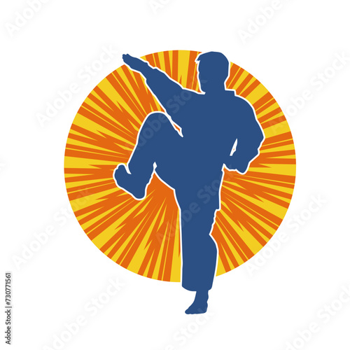 Silhouette of a slim female doing martial art pose. Silhouette of a martial art woman in action pose.