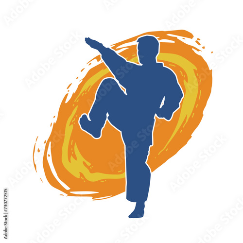 Silhouette of a man in oriental martial art pose. Silhouette of a male in martial art move.
