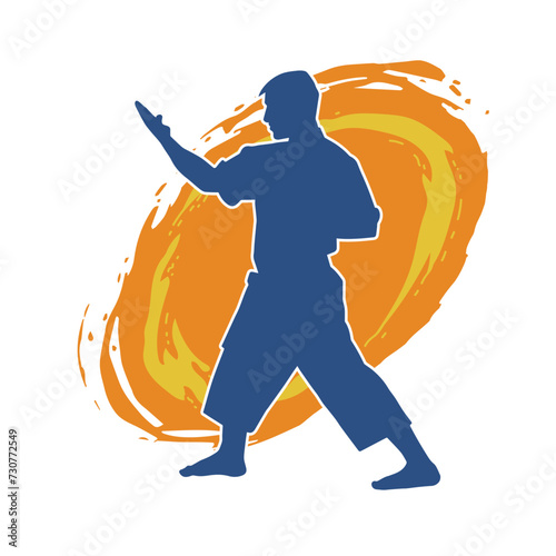 Silhouette of a man in oriental martial art pose. Silhouette of a male in martial art move.
