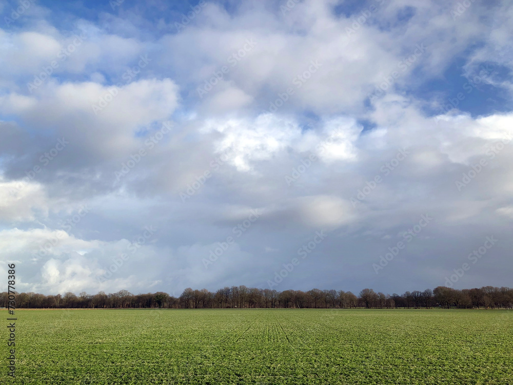 Fields at Uffelter es. Uffelte Drenthe Netherlands. Fields at Uffelter es. Uffelte Drenthe Netherlands.