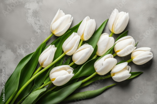 Fresh White Tulips on Gray Backdrop