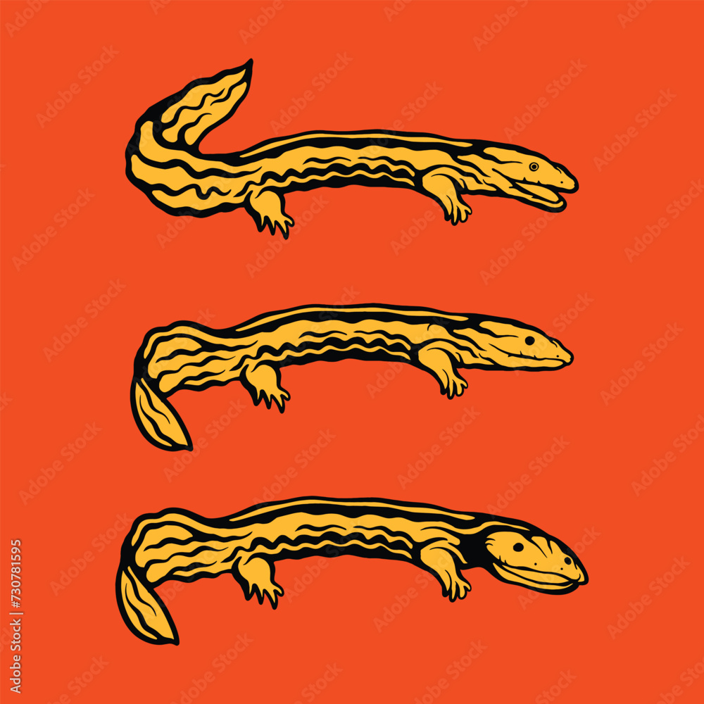 Chinese giant salamander, Hellbender icon, Salamander vector design illustration