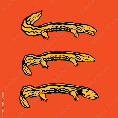 Chinese giant salamander, Hellbender icon, Salamander vector design illustration