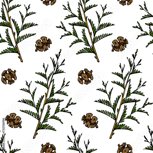 Vector seamless pattern with hand drawn cypress branches and cones. Beautiful design elements, ink drawing. Perfect for prints and patterns for Christmas or New Year holidays season.