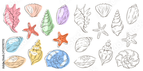 Set of seashell in line art style. Undersea shells of starfish, scallop, conch, spiral. Blue color. Vector illustration.