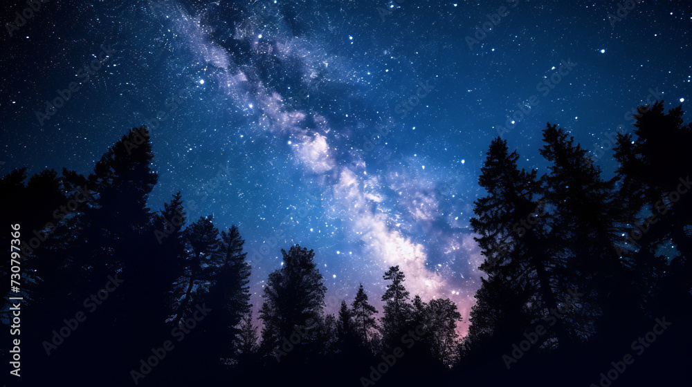 Fototapeta premium Beautiful night sky, milky way and trees