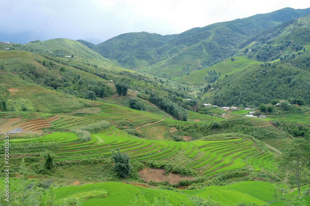 beautiful green rice terraces on the mountain scenery landscape  viewpoint in Sapa Village, Vietnam
