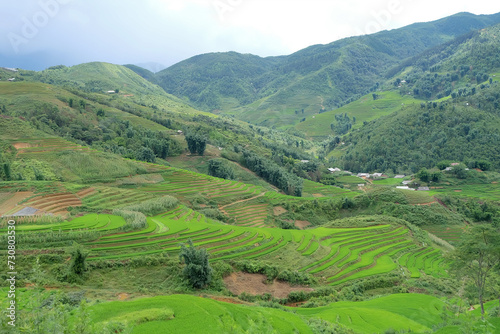 beautiful green rice terraces on the mountain scenery landscape  viewpoint in Sapa Village, Vietnam © Giffany