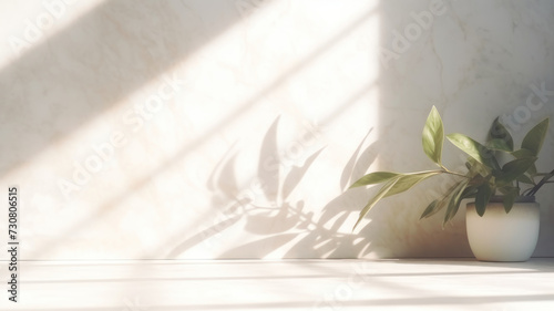 Minimalistic light background with blurred Monstera Deliciosa plant pot shadow on a light wall. Beautiful background for presentation with with marble floor