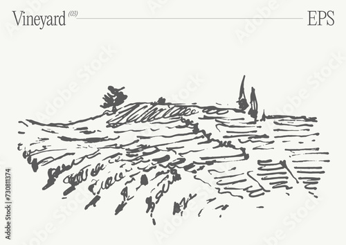 Vineyard Landscape. Vintage wine Label Background. Hand drawn vector illustration, sketch.