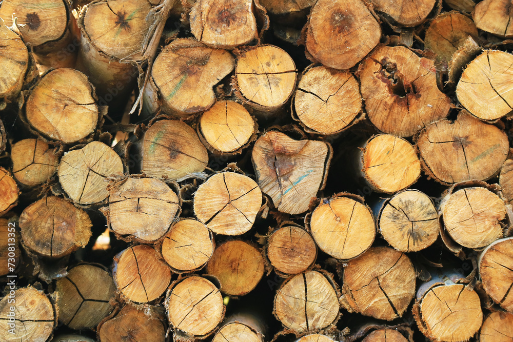 Pile of the cut wood logs for background and banner Pile of the cut wood logs for background and banner
