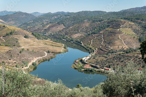 Panorama Deslumbrante: Entre floresta, vinhas e olivais, o rio Tua serpenteando pelas montanhas em Trás-os-Montes, Portugal