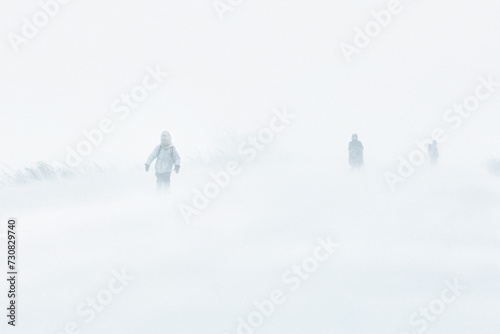 Wallpaper Mural A snowstorm in the city. People are walking down the street during a snowstorm. Strong wind and snowfall. Arctic climate.. Torontodigital.ca