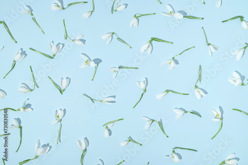 Hello Spring background made of snowdrop flowers on a blue background. Spring time concept.