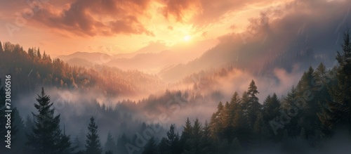 Gorgeous landscape featuring foggy forest and mountain sunset view.