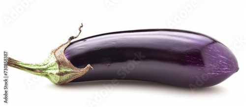 A vibrant purple eggplant with a green stem.