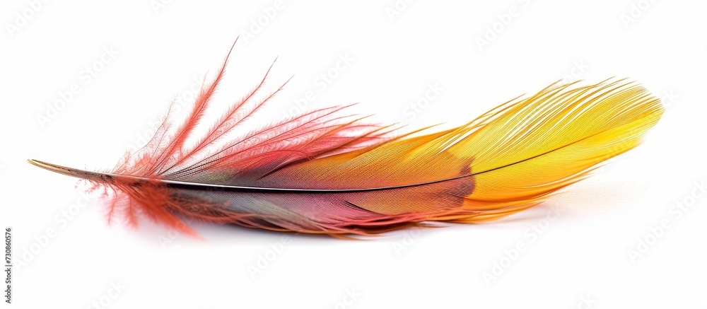 A detailed image of a vibrant feather against a plain white backdrop, resembling a beautiful petal on a flowering plant. A detailed image of a vibrant feather against a plain white backdrop, resembling a beautiful petal on a flowering plant.