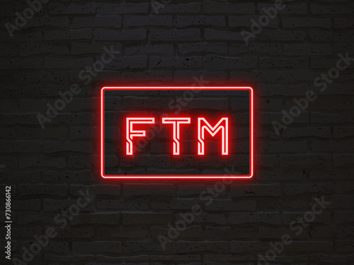 FTM のネオン文字 photo