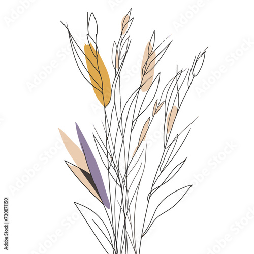 Elegant line drawing of summer wheat. Illustration for invites and cards