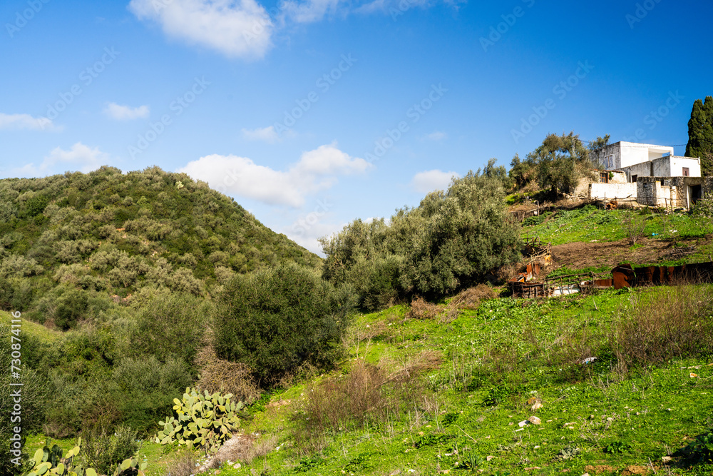 Landscape of northern Tunisia - Sejnene region - Tunisia
Landscape of northern Tunisia - Sejnene region - Tunisia