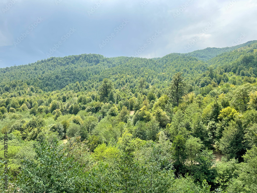 Cloudy sky over dense green forest, mountains and hills