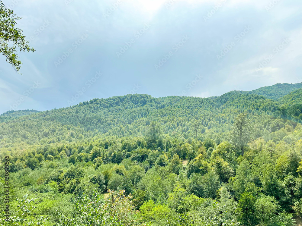 Obraz premium Cloudy sky over dense green forest, mountains and hills