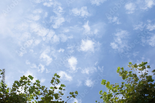 Sky and clouds with tree