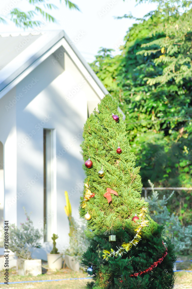 Christmas day or christmas decoration , christmas ball on pine tree or ball and star decoration on pine tree at home Christmas day or christmas decoration , christmas ball on pine tree or ball and star decoration on pine tree at home