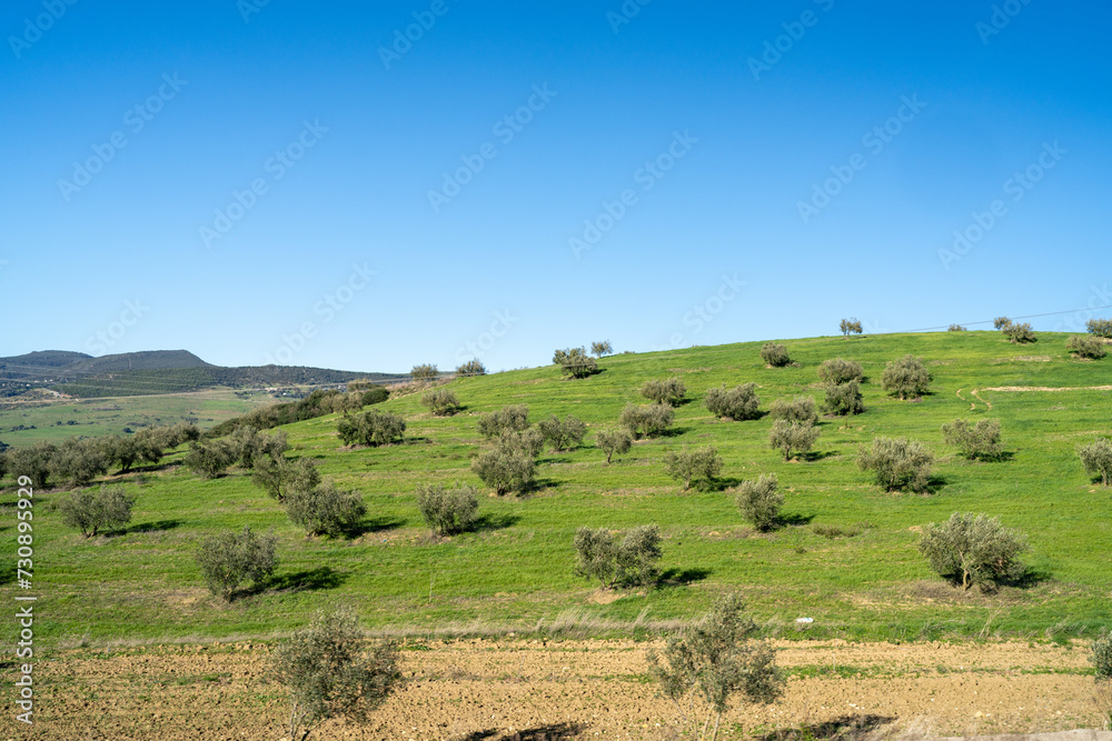 Landscape of northern Tunisia - Sejnene region - Tunisia
Landscape of northern Tunisia - Sejnene region - Tunisia