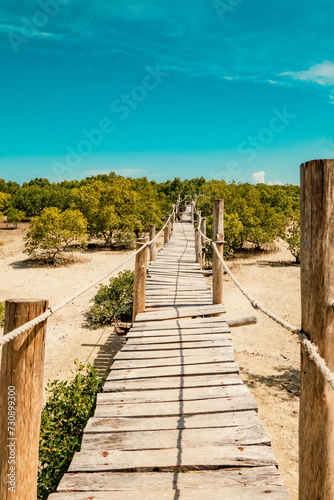 Scenic view of the Mangrove Boardwalk in Mida Creek in Watamu, Kenya