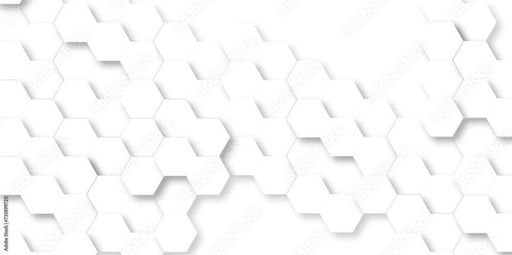 Obraz premium Abstract background with hexagon, modern abstract vector polygonal pattern. Futuristic abstract honeycomb technology white background. Luxury white hexagon pattern.