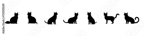 Black silhouette of a cat set. Puss or cat silhouette. Cat playing or sitting. Feline care. Pet concept. Vector set
