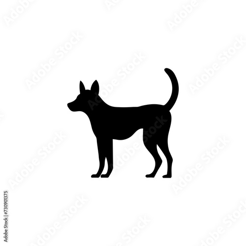 Dog silhouette. Dog breed. Labrador silhouette. Pet care concept. Vet concept. Vector