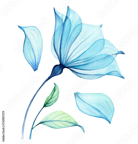 Watercolor Transparent Flower. Composition with big blue petals and leaves. Abstract painting with turquoise florals. Hand painted vibrant illustration © Katerina Kolberg