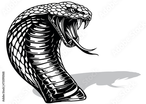 Drawing of an Indian Cobra Head with Open Mouth with Venom Teeth