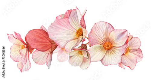 Watercolor pink flowers. Horizontal bouquet with big red petals. Colourful tender wreath isolated on white. Realistic botanical floral illustration