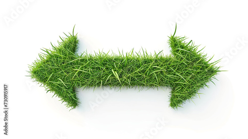 Eco-Friendly Direction Green Grass Arrow Symbolizing Sustainable Choices