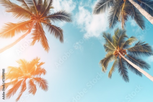 Blue sky and palm trees view from below, vintage style, tropical beach and summer background, travel concept © Lubos Chlubny