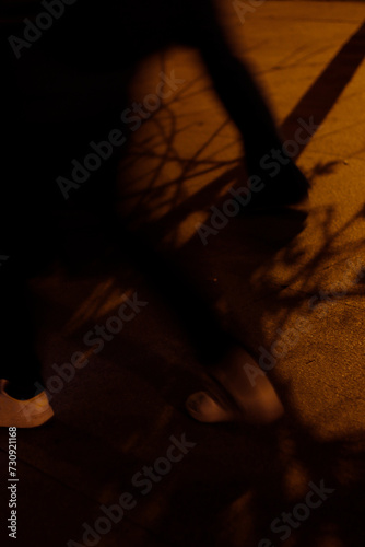 Shadows of branches on the ground © Laiotz
