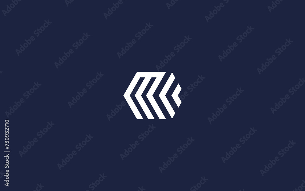 letter lm with hexagon logo icon design vector design template inspiration letter lm with hexagon logo icon design vector design template inspiration