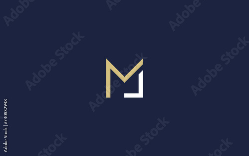 letters ml or lm logo icon design vector design template inspiration photo