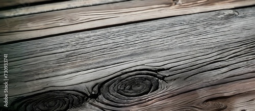 Rustic Timber: Close-Up of Textured Wood Surface. Clean wooden background