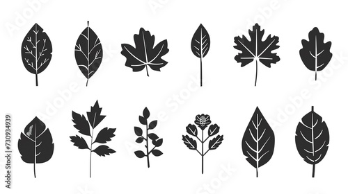 Leaf icon set. Black and white leaves isolated on white background. AI.