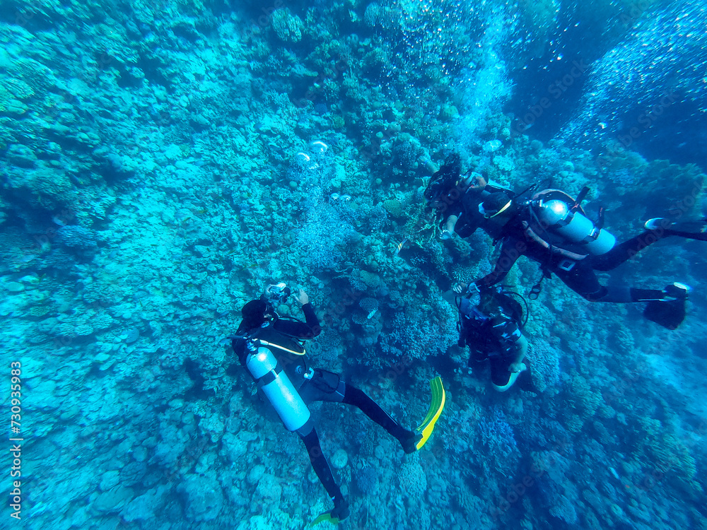 Scuba Divers swim in tropical sea at the coral reef in the Red Sea, Egypt.. Scuba Divers swim in tropical sea at the coral reef in the Red Sea, Egypt..