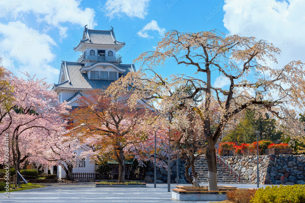 Nagahama Castle in Shiga Prefecture, Japan during full bloom cherry blossom 