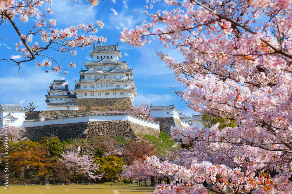 Scenic full bloom cherry blossom at Himeji castle in Hyogo, Japan Scenic full bloom cherry blossom at Himeji castle in Hyogo, Japan
