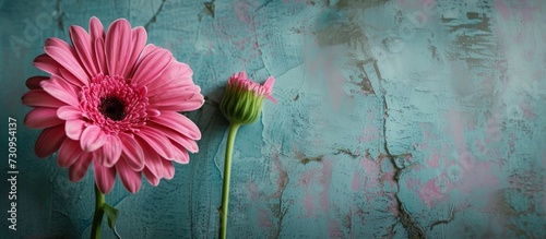 Pink gerbera flower and bud on a textured background.