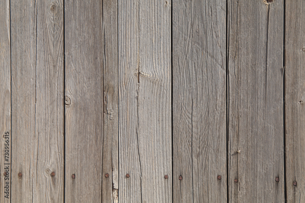 Obraz premium Old wood plank texture background