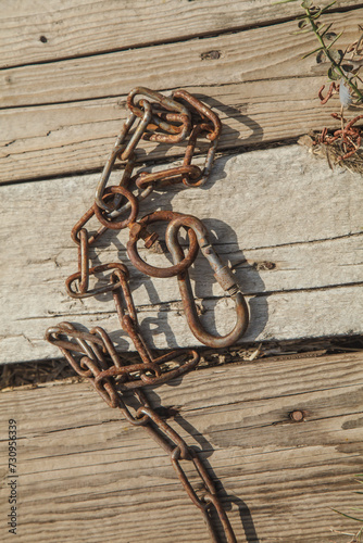 Old rusty chain with a carabiner for a dog